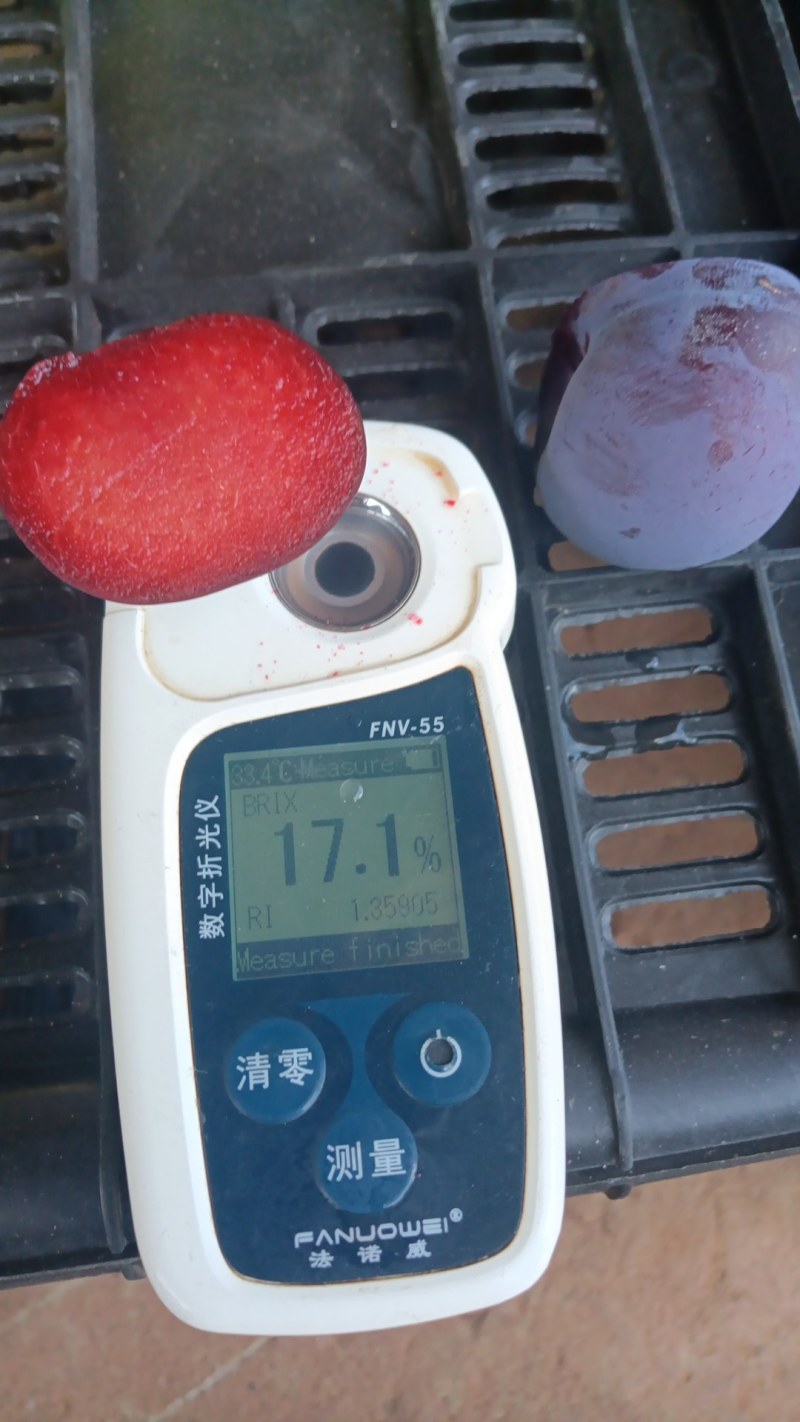 果益农风味玫瑰香