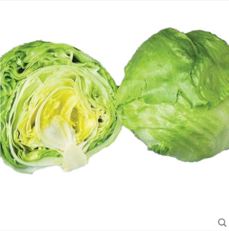 精品球生菜，汉堡专用，产地直销