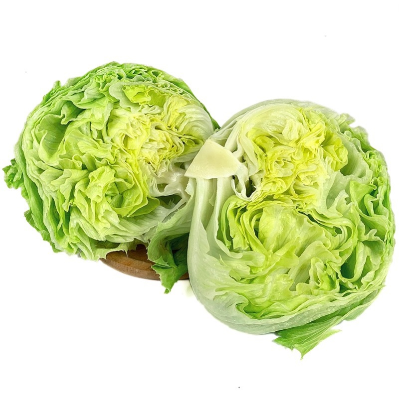 精品球生菜，汉堡专用，产地直销