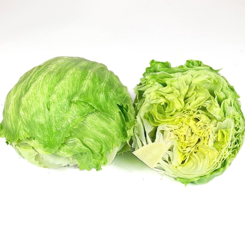 精品球生菜，汉堡专用，产地直销