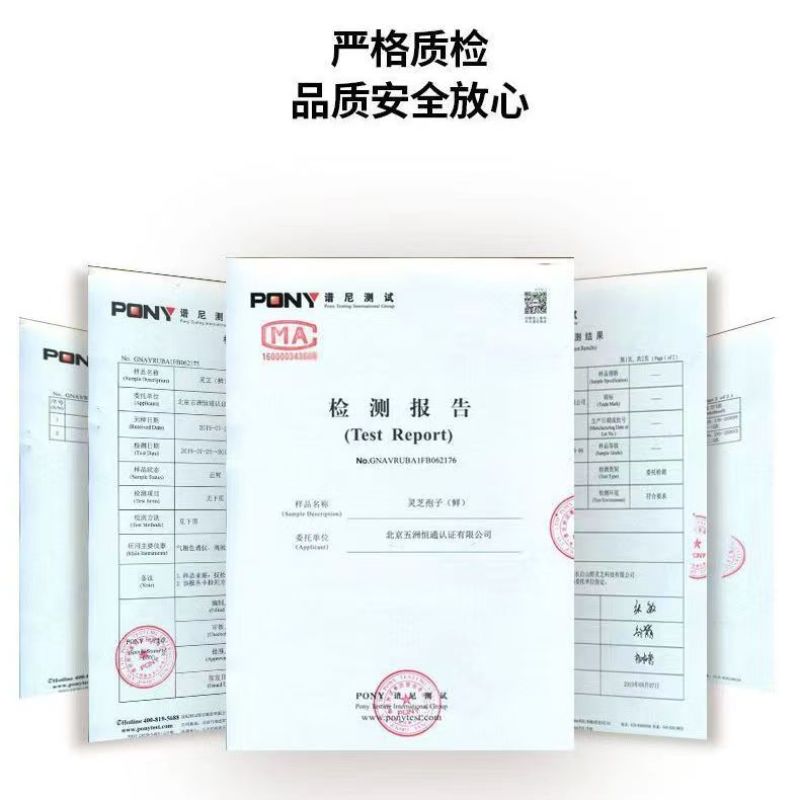 长白山灵芝孢子粉大量批发零售送手提袋木勺原产地发货