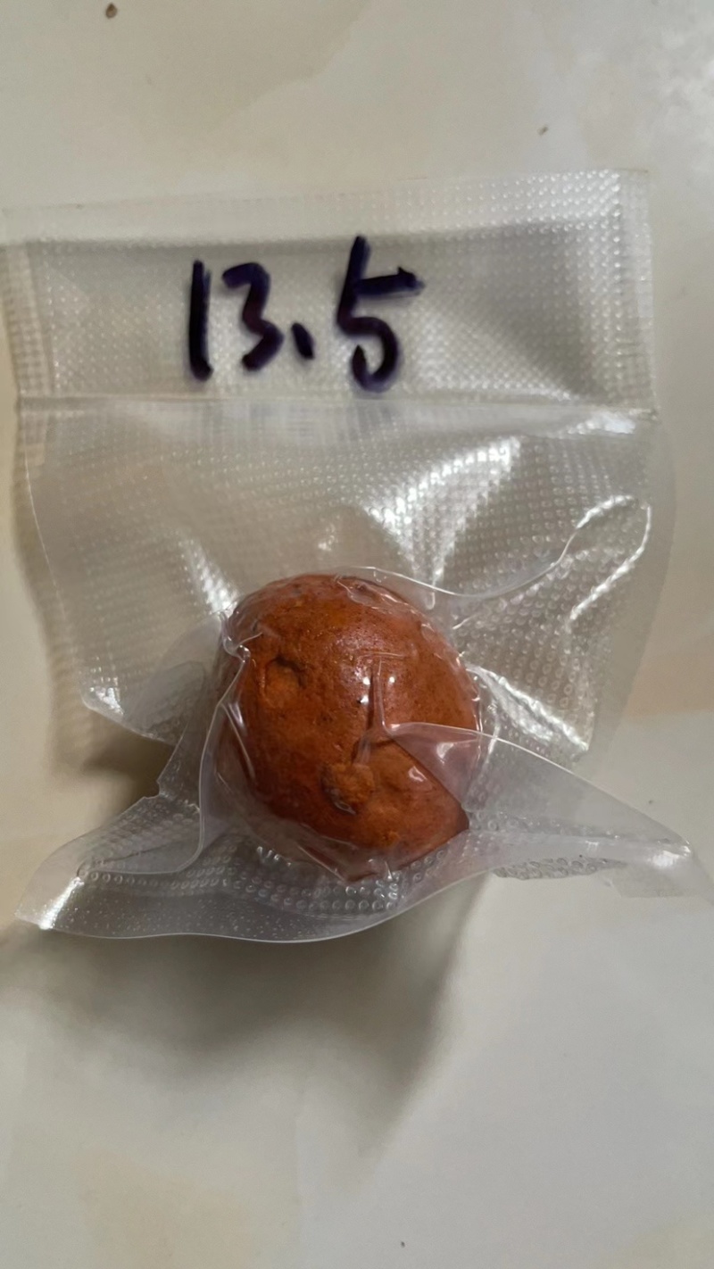 牛黄天然牛黄正宗天然牛胆黄粉牛结石包邮