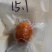 牛黄天然牛黄正宗天然牛胆黄粉牛结石包邮