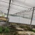 水培蔬菜大棚找种植大师