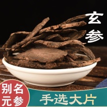 玄参中药材野生玄参精选玄参片元参苦玄参黑玄参100g/