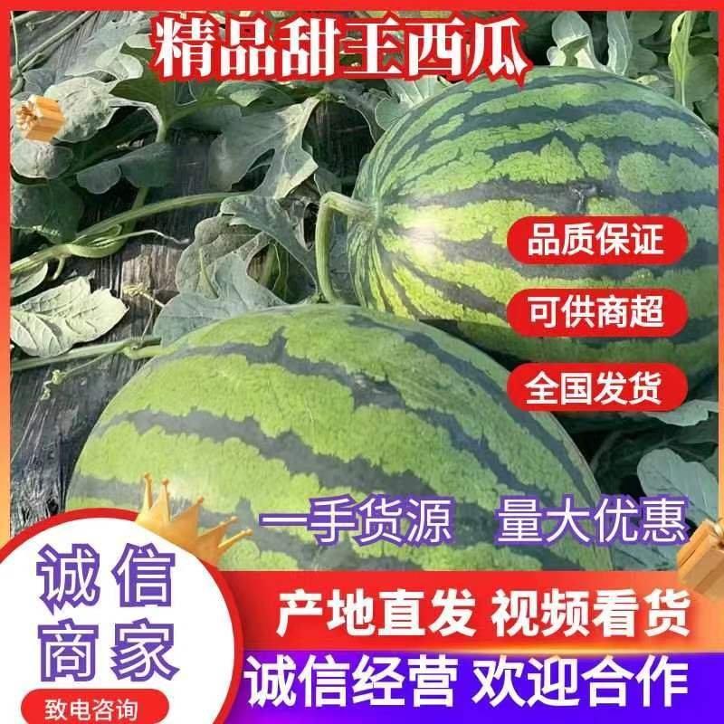 辽宁甜王西瓜产区现货供应产地直发口感嘎甜