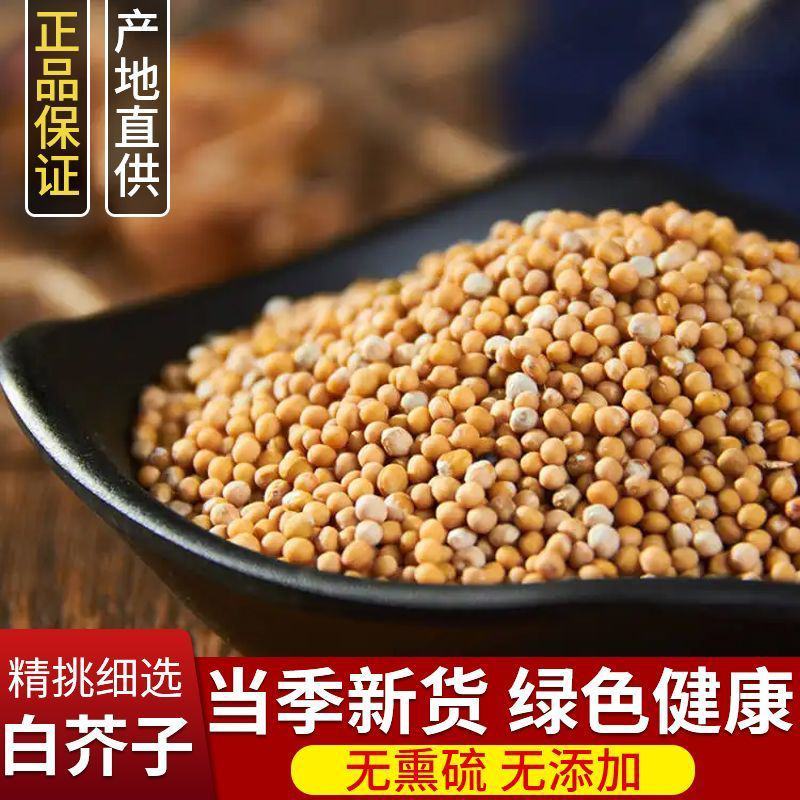 精选野生正品白芥子500g中药材芥菜子辣菜子炒白芥籽泡茶