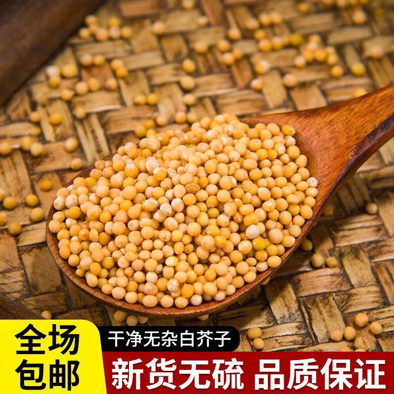 精选野生正品白芥子500g中药材芥菜子辣菜子炒白芥籽泡茶