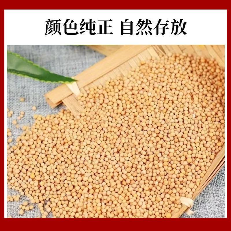精选野生正品白芥子500g中药材芥菜子辣菜子炒白芥籽泡茶