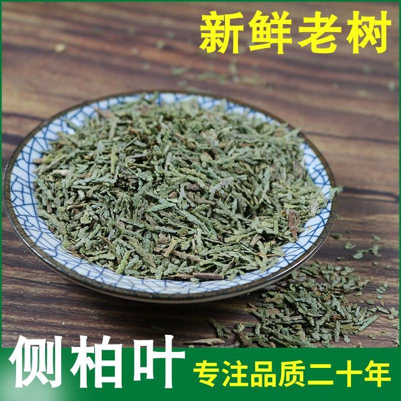 中药材野生侧柏叶侧伯叶炭粉扁柏叶新鲜干货洗发500g