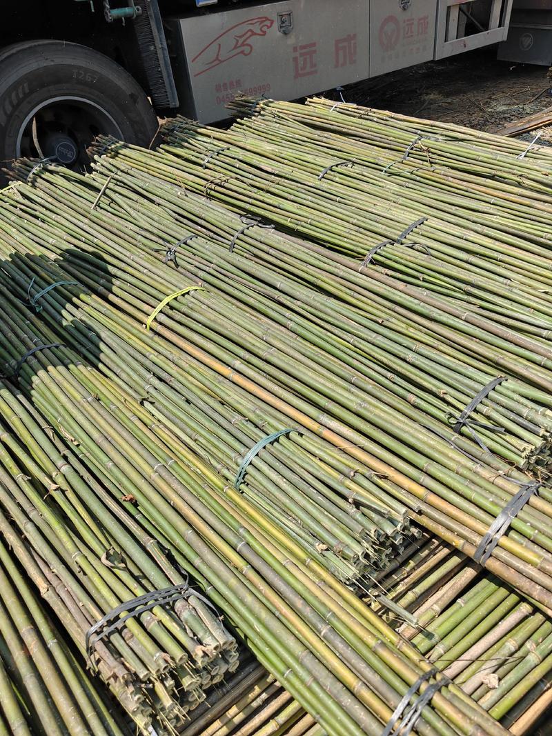 菜架竹竹竿2.5米到3米米豆角架冬瓜架规格齐全