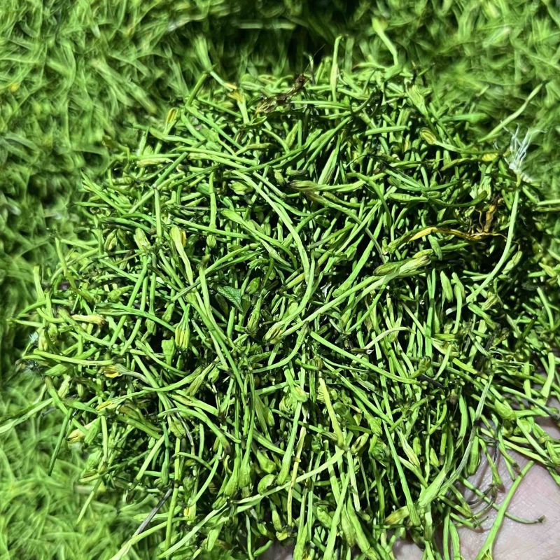五彩金银花茶花现已大量上市