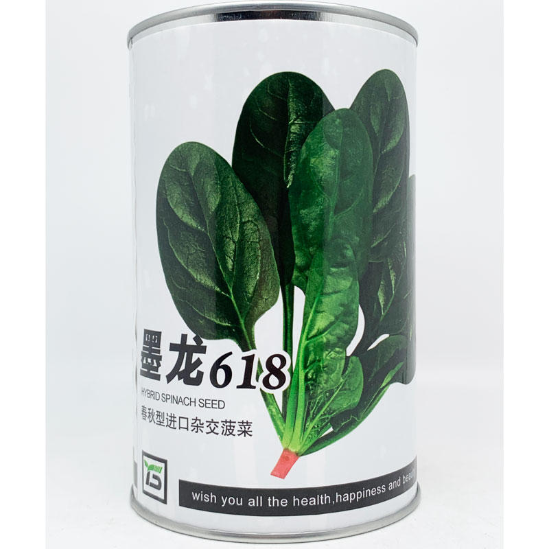 墨龙618菠菜种子丹麦进口黑圆叶直立抗病菠菜籽250克装