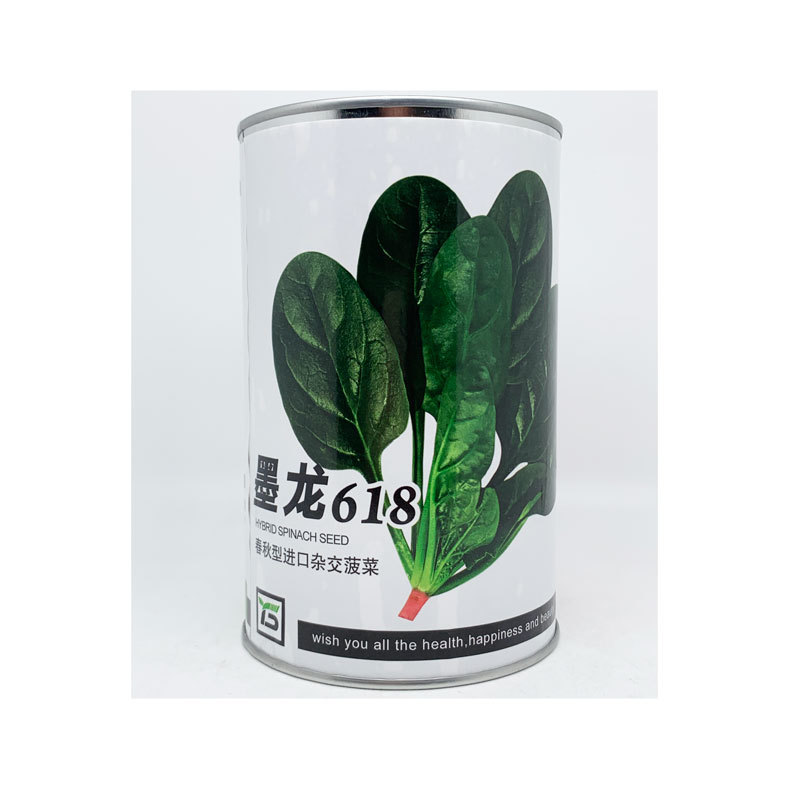 墨龙618菠菜种子丹麦进口黑圆叶直立抗病菠菜籽250克装