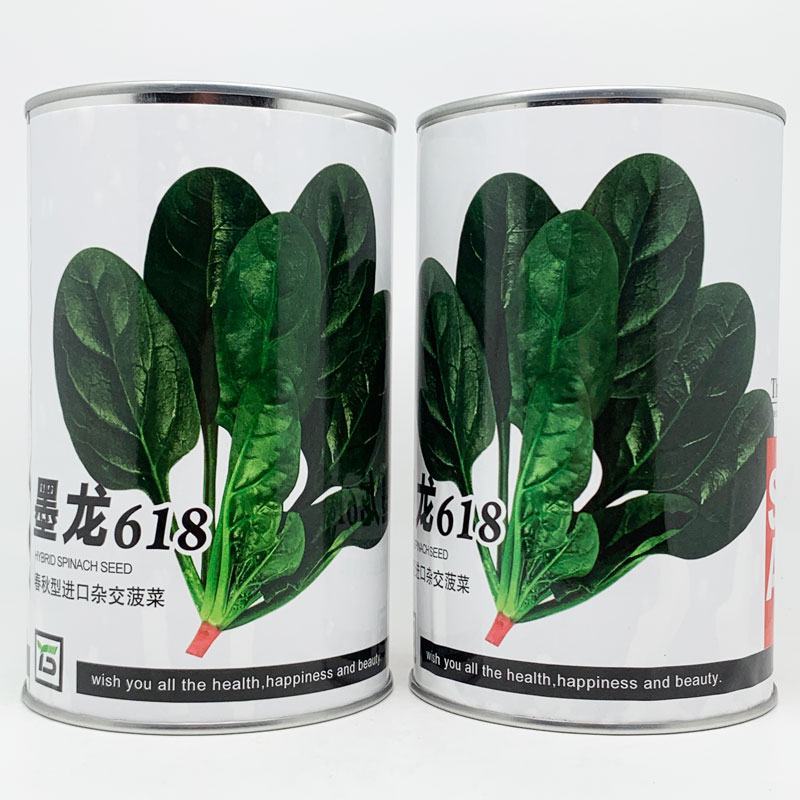 墨龙618菠菜种子丹麦进口黑圆叶直立抗病菠菜籽250克装