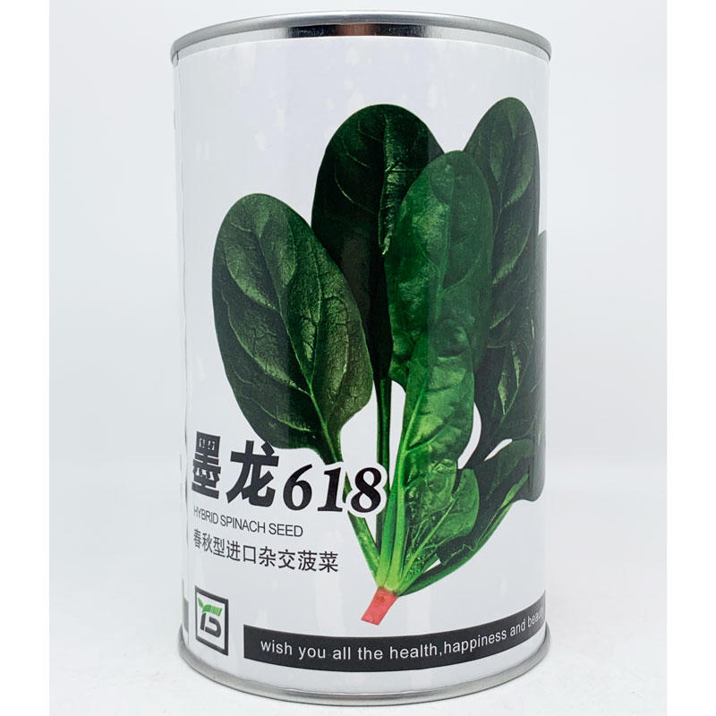 墨龙618菠菜种子丹麦进口黑圆叶直立抗病菠菜籽250克装