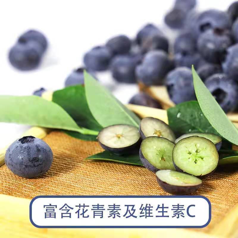 连云港市，蓝莓鲜果蓝莓新鲜应季水果现摘蓝莓孕妇宝宝水果