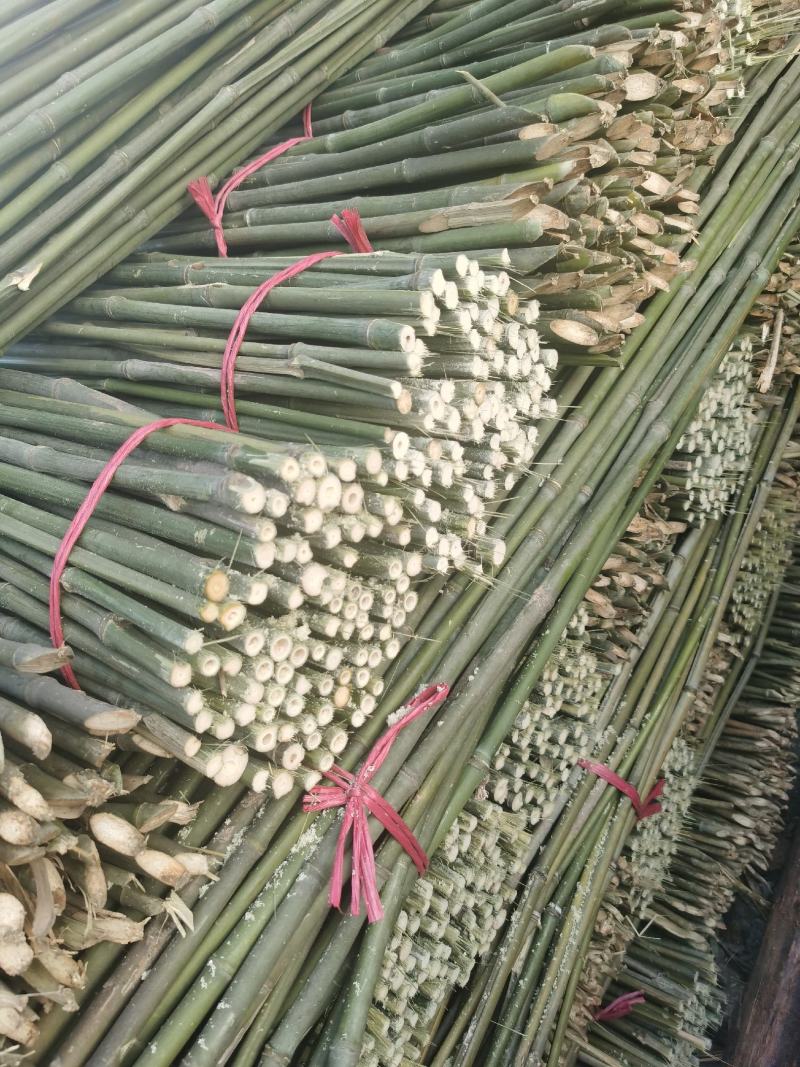 菜架竹，架豆角，引苗竹，火龙果架，百香果引苗。