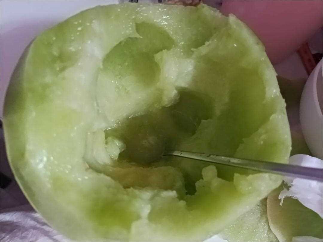裂开的玉菇甜瓜内部果肉状态展示图,显示果肉是否新鲜、是否有变质迹象 裂开的玉菇甜瓜内部果肉状态展示图