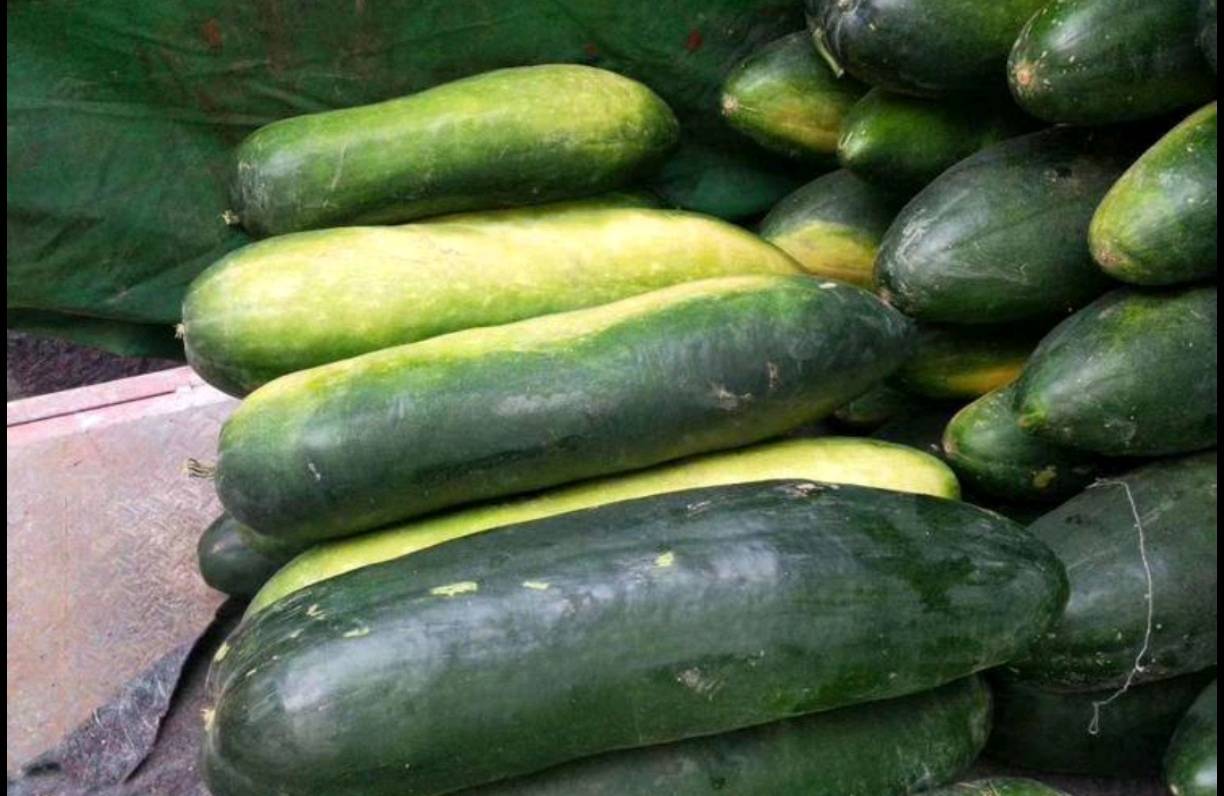 一道以冬瓜为主料的家常菜,如冬瓜排骨汤,色泽诱人,体现其食用价值 冬瓜菜肴成品图