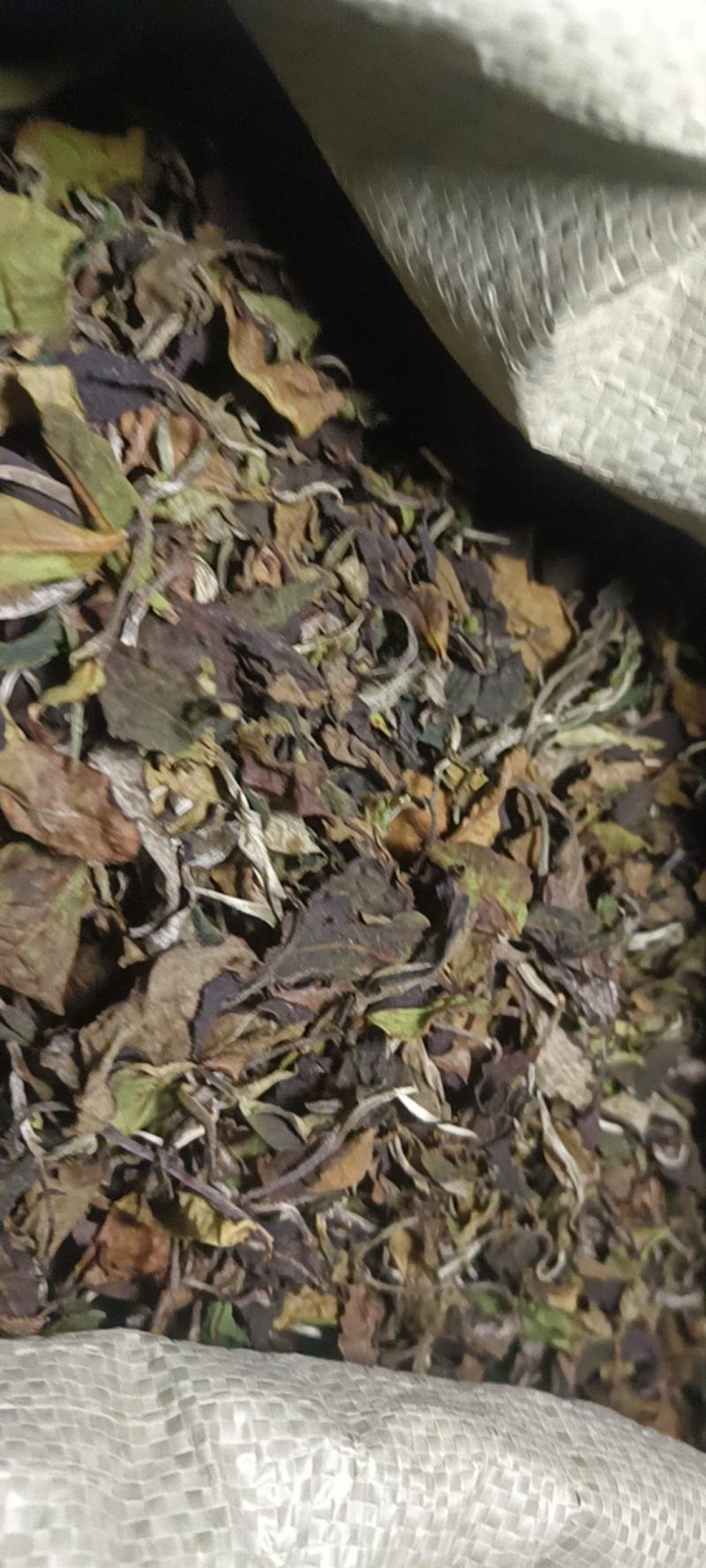 普洱茶（白茶，散茶，饼茶）