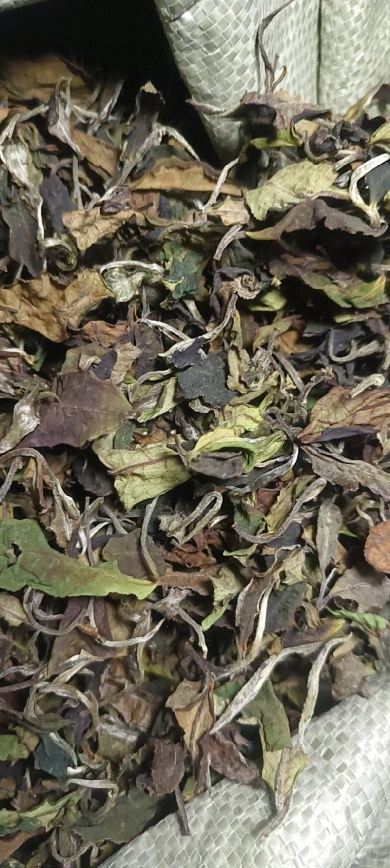 普洱茶（白茶，散茶，饼茶）