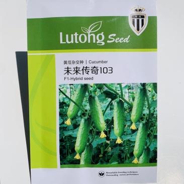 未来传奇103旱黄瓜种子强雌性水果黄瓜种子抗病高产口感鲜