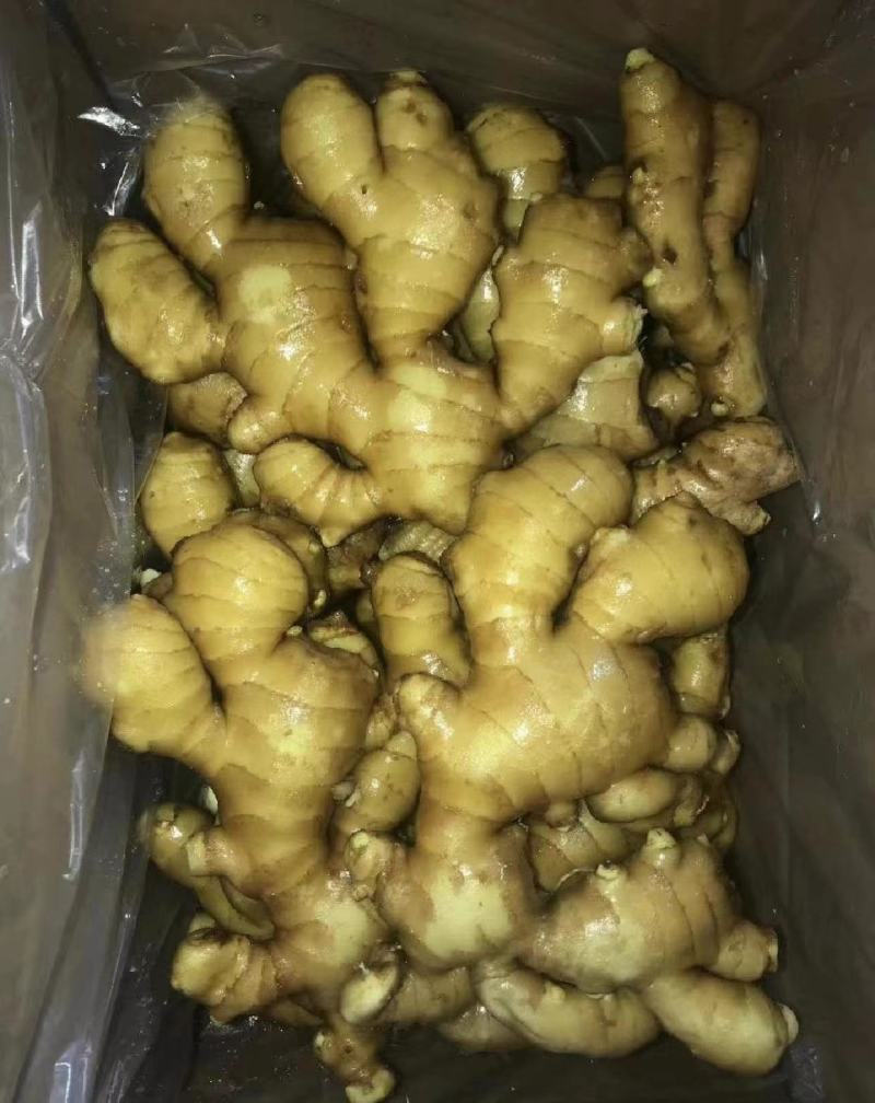精品大黄姜，产地供应，沙土姜/水洗姜，电商货/市场货