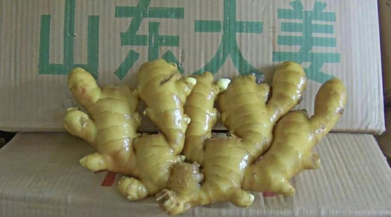 精品大黄姜，产地供应，沙土姜/水洗姜，电商货/市场货