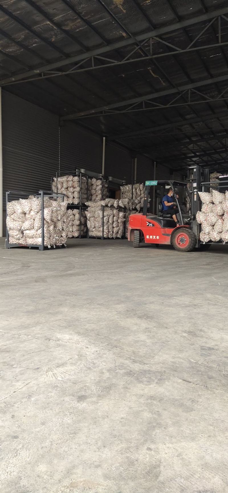 邳州精品大蒜鲜蒜大量上市现挖先发全国发货欢迎采购