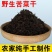 苦菜干野生苦斋干货农家新鲜手工自晒野菜干煲汤炖汤食材批发