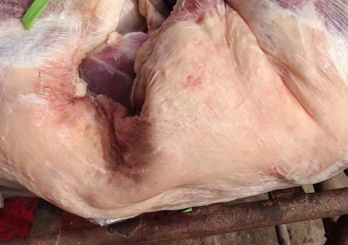 羊肉营养成分表