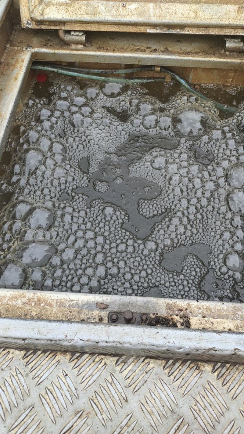桂鱼