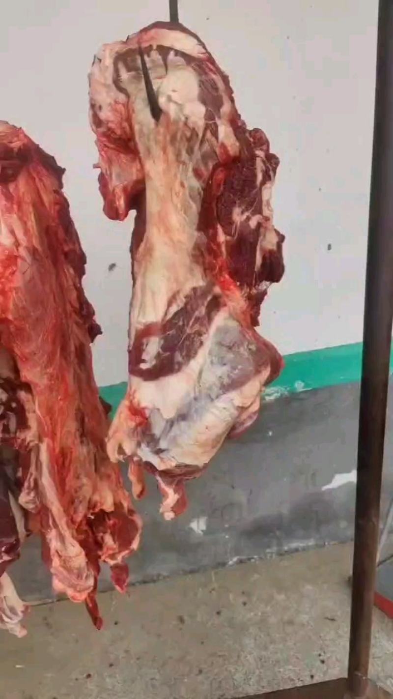 黄牛肉，精修剔骨，无油，保证纯干无水，牛肉