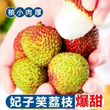 妃子笑荔枝一件代发新品上市大量发货顺丰京东冷链