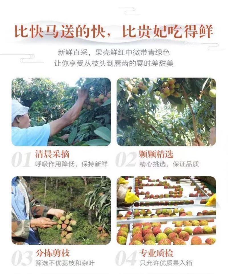 妃子笑荔枝一件代发新品上市大量发货顺丰京东冷链