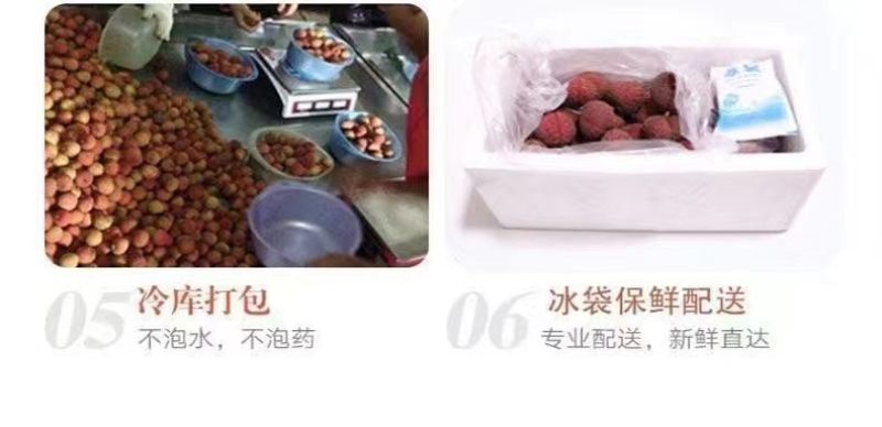 妃子笑荔枝一件代发新品上市大量发货顺丰京东冷链