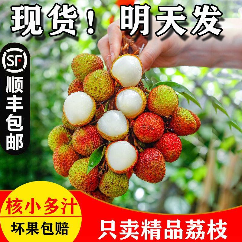 妃子笑荔枝一件代发新品上市大量发货顺丰京东冷链