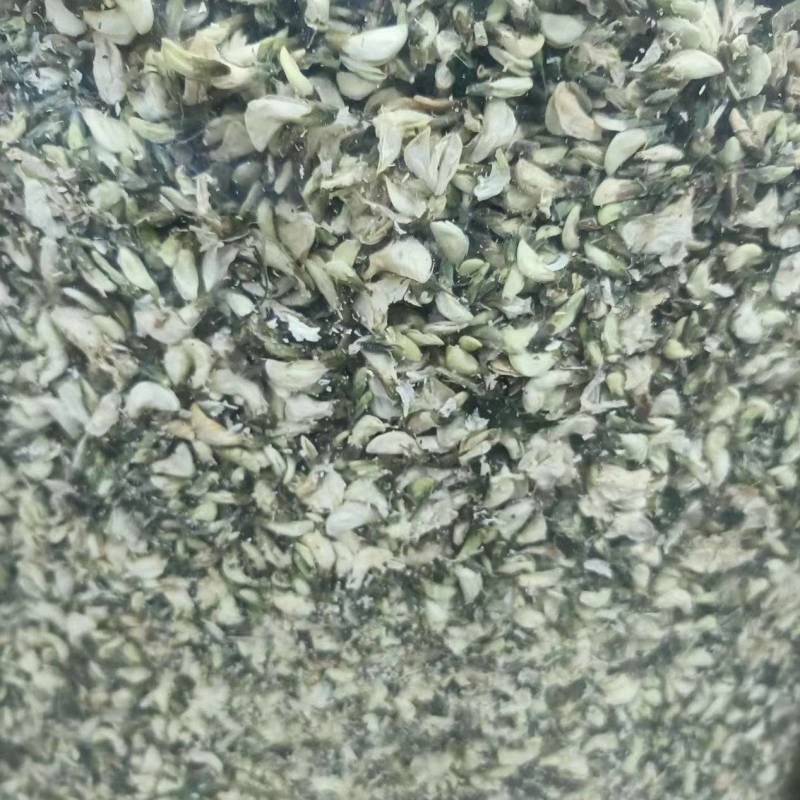 干洋槐花，脱水洋槐花，现摘现烘干，色泽好，无杂质无硫