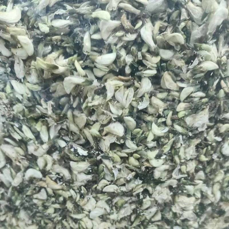 干洋槐花，脱水洋槐花，现摘现烘干，色泽好，无杂质无硫