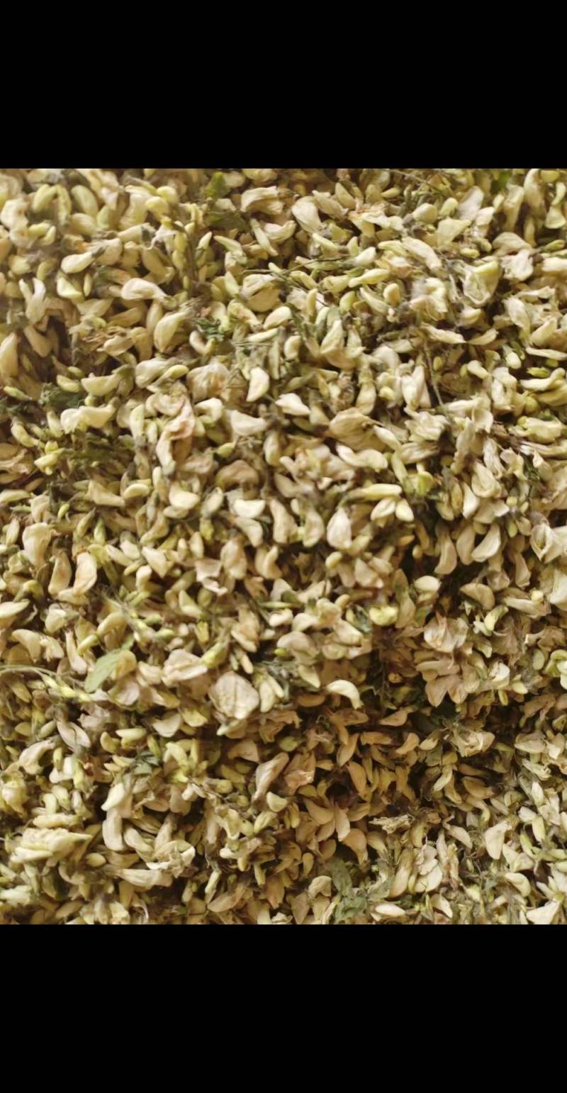 干洋槐花，脱水洋槐花，现摘现烘干，色泽好，无杂质无硫
