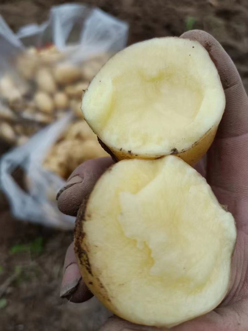 贵州黄皮黄心土豆，质量可以。