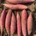 河北脱毒原种西瓜红红薯苗量大价优产地直发