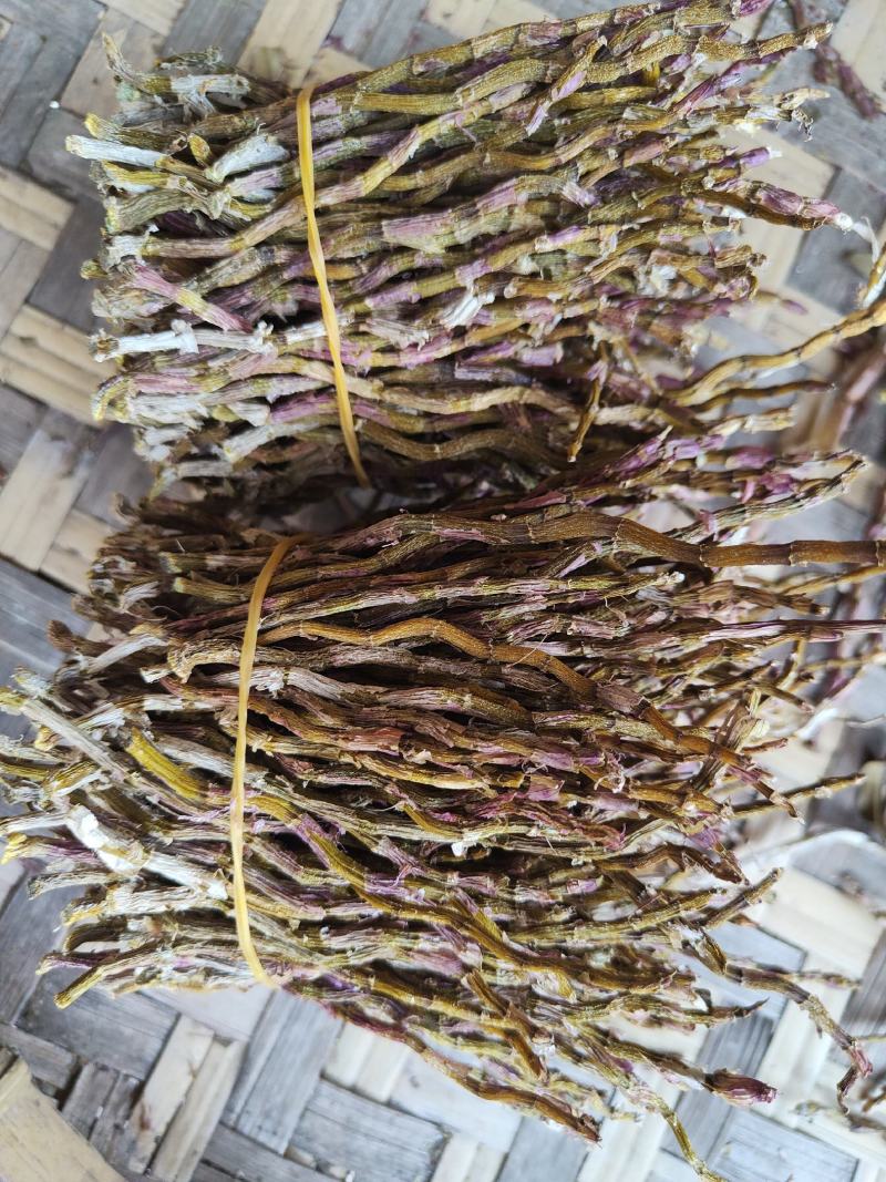 铁皮石斛干条批发零售