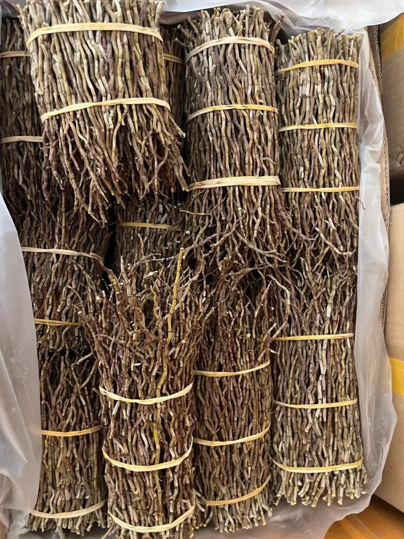铁皮石斛干条批发零售