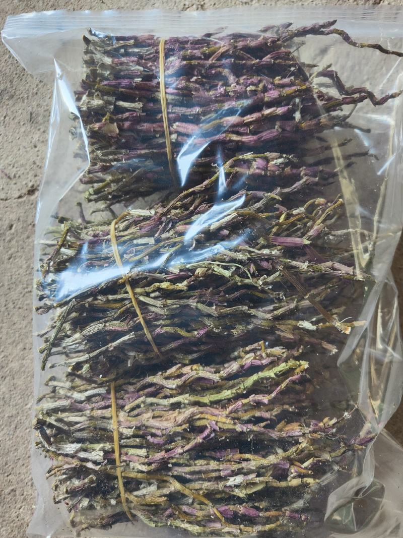 铁皮石斛干条批发零售