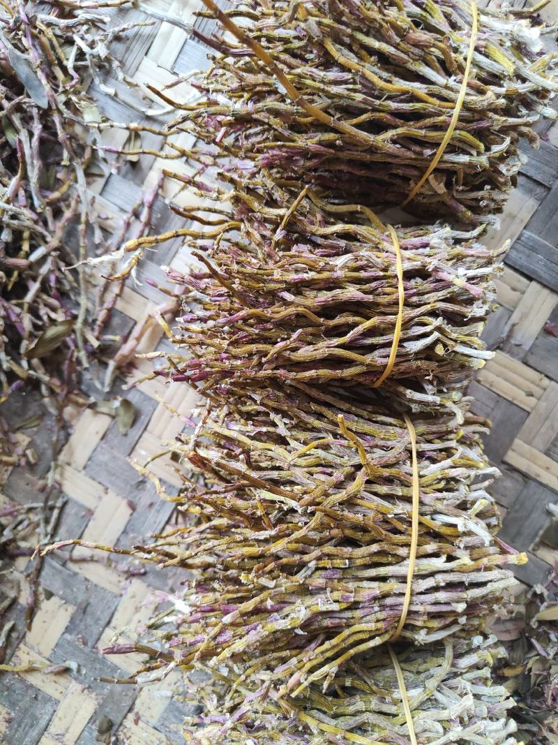 铁皮石斛干条批发零售