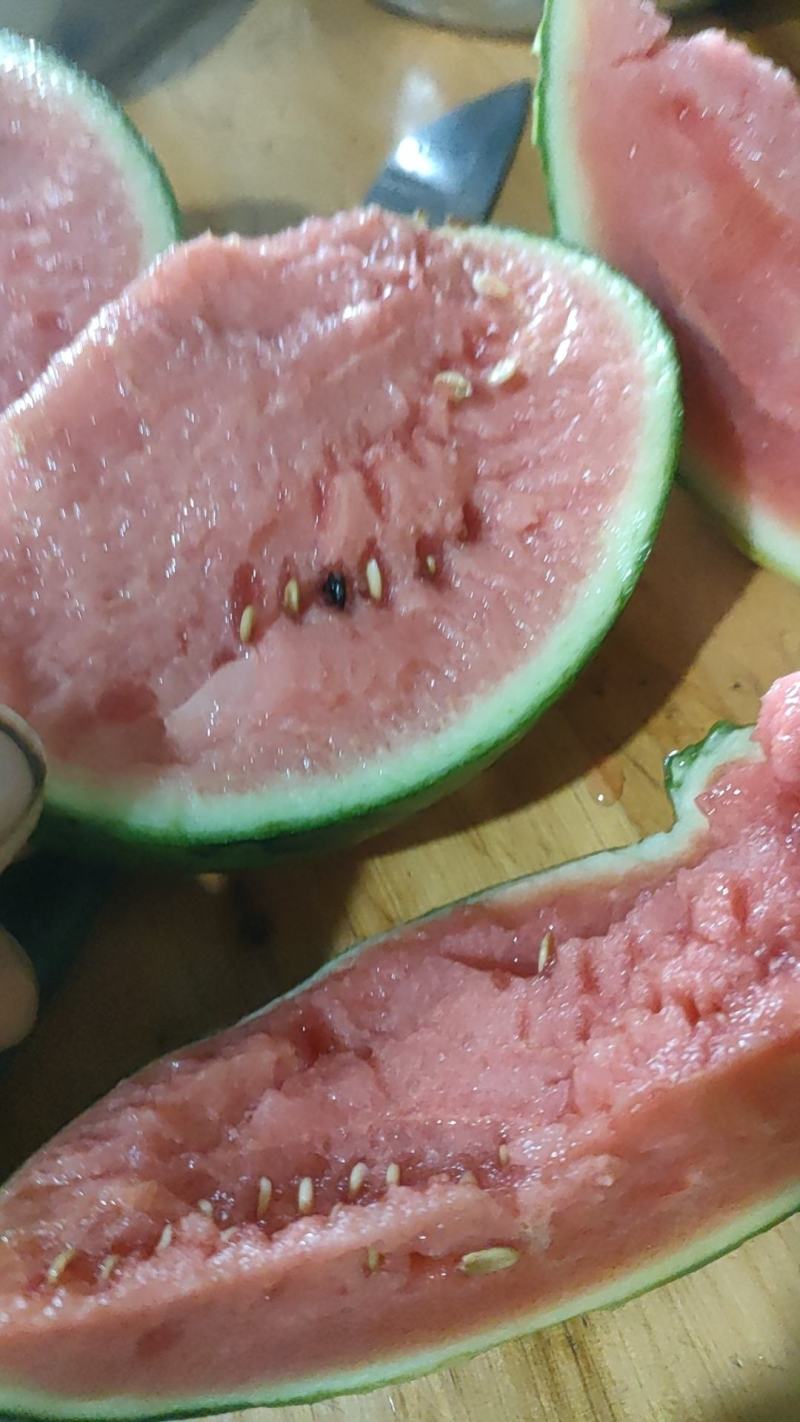 2k糖丸小西瓜