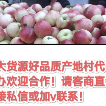 诚信合作共赢发展！产区代办欢迎你！