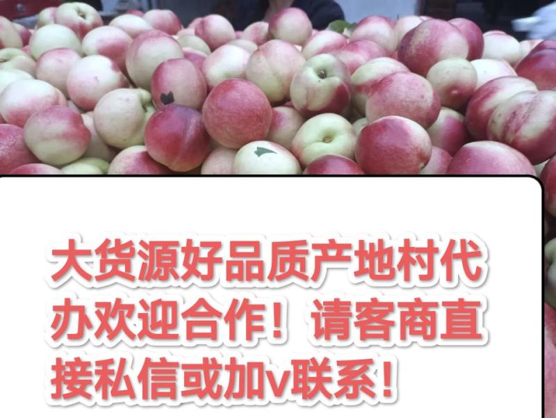 诚信合作共赢发展！产区代办欢迎你！